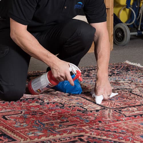 Area rug cleaning service in Windsor