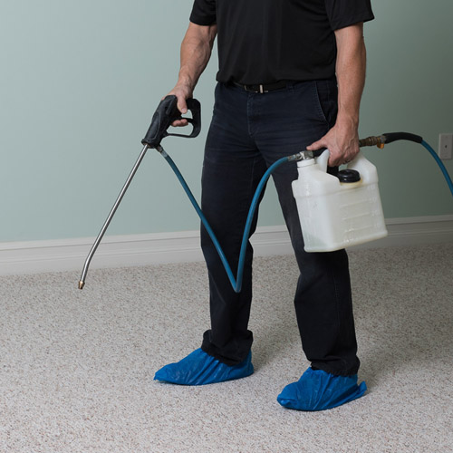 carpet-cleaning-5
