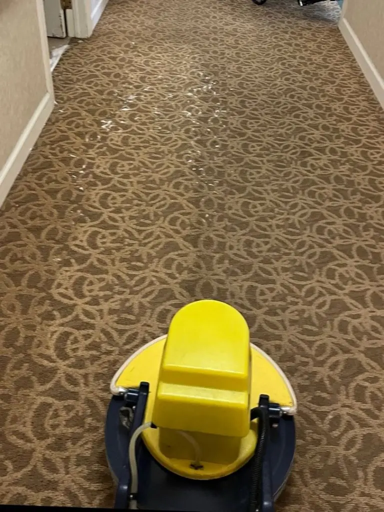 Yellow carpet cleaning machine in a hallway with patterned carpet and an open door on the left side.