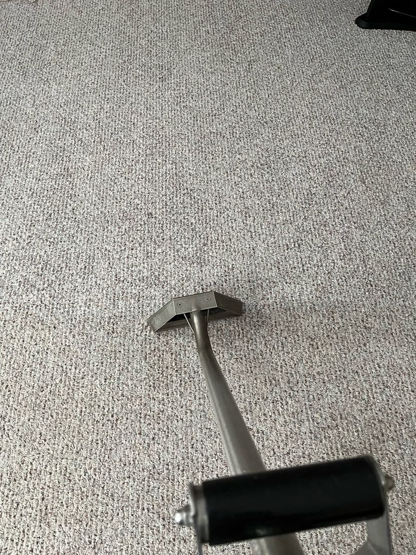 Metallic carpet cleaning tool on a light grey textured carpet.