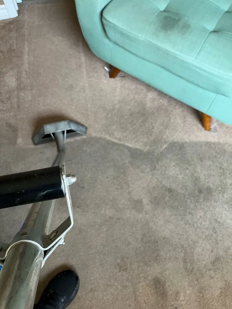 Carpet cleaning tool in use on a beige carpet with visible clean and dirty sections, next to a light green chair.